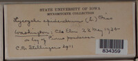Image Associated With the Occurence